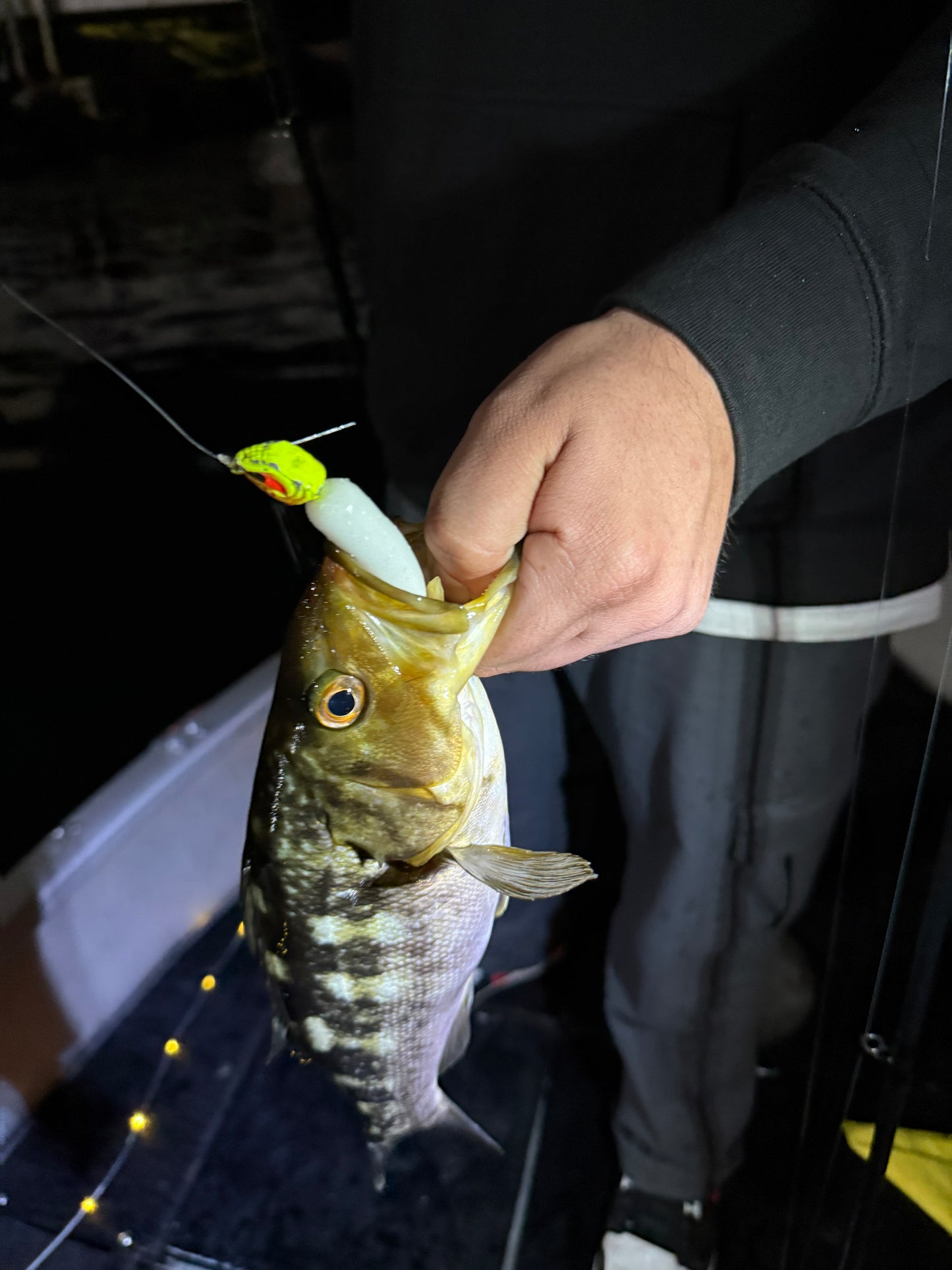 Bullet Swimbait Pearly White