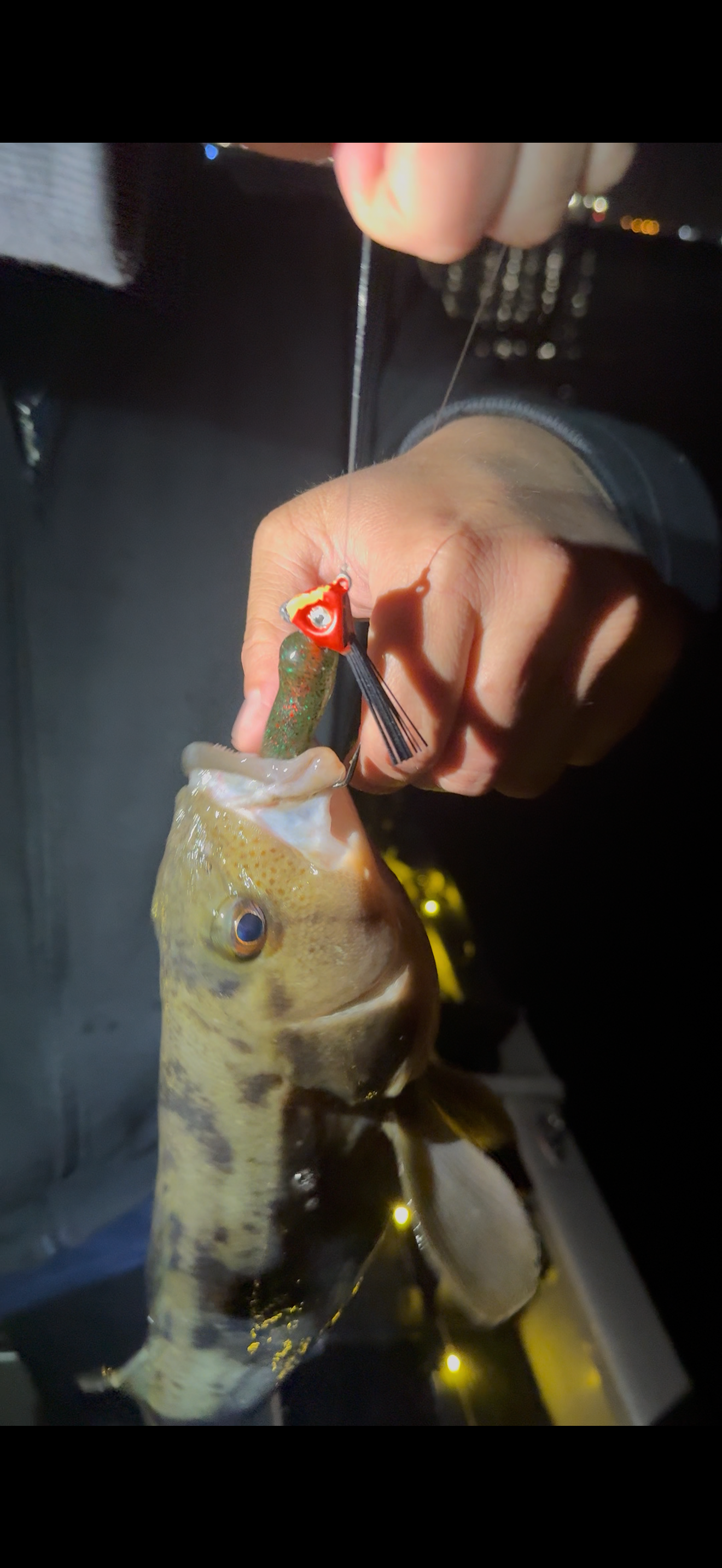 Bullet Swimbait Watermelon