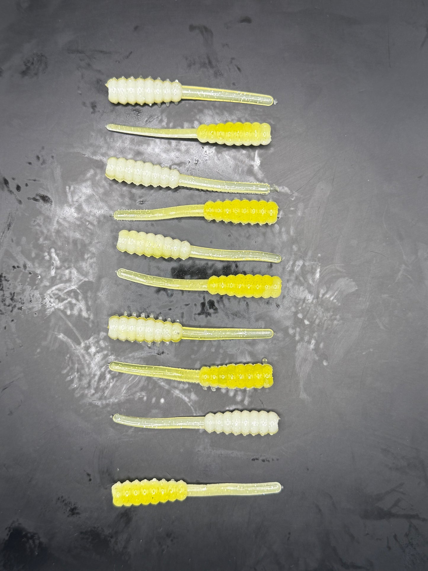 2" Trout Taffy Lemon Flash