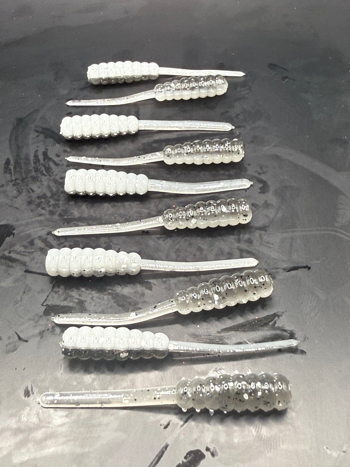 2" Trout Taffy Anchovy